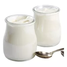 Iogurte Infinito Amasi Premium Probióticos Lactobacilos