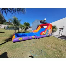 Acuatico Pelotero Inflable 