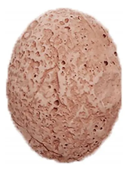 huevos de dinosaurio juguete-1