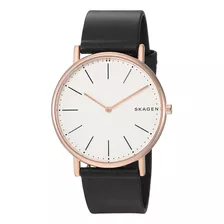 Reloj Pulsera Skagen Skw6430