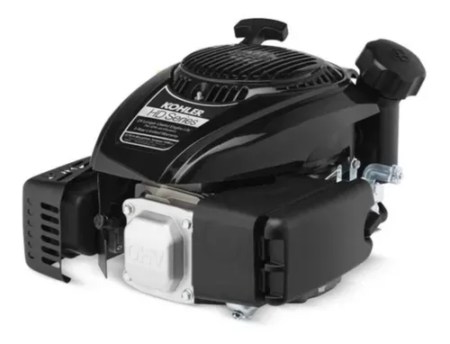 Segunda imagen para búsqueda de motor briggs stratton 35 classic