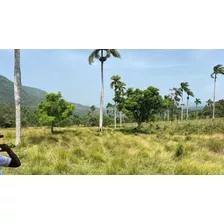 Te Rentó Una Hermosa Finca En Guaco La Vega 