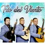 Primera imagen para búsqueda de bandas musicales para fiestas