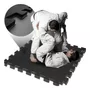 Terceira imagem para pesquisa de tatame jiu jitsu
