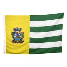 Bandeira De Aparecida De Goiania Go 4p (2,56x1,80) Bordada