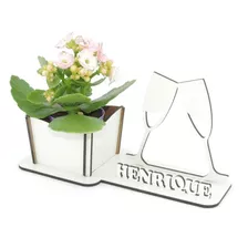 5 Porta Flores Display Personalizado Mdf Branco Ano Novo