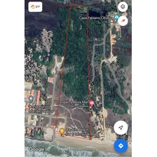 Oportunidade Para Empreendimento Na Praia Da Caueira/se Com 85000m2 À Beira-mar.