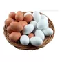 Tercera imagen para búsqueda de huevos fertiles