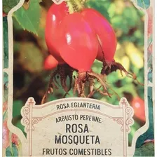 Pack Rosa Mosqueta Aromatica Y Rustica X 50 Semillas