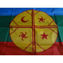 Segunda imagen para búsqueda de bandera mapuche