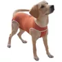 Tercera imagen para búsqueda de ropa para perros