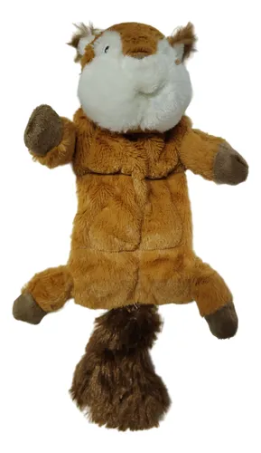 Tercera imagen para búsqueda de venta de ardilla mascotas