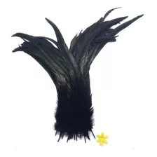 3pcs High Quality Wholesale Premium Rooster Tail Feathers