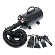 Secador Portatil Para Perros Y Gatos, 2400 W, Secador De Pel