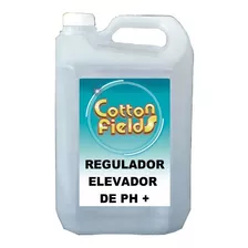 Regulador Elevador Ph Mas Liquido 3 X 5l - 19% 