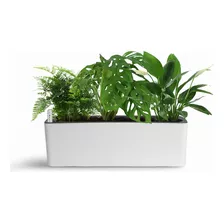 Macetero Autoregante Planter Plus 50 Cms