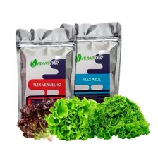 Solução Nutritiva Para Hidroponia - 1.000 Litros Folhosas