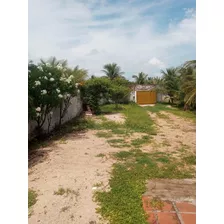 Terreno 20x5 Na Praia De Jenipabu Extremoz Rn,