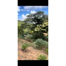 Fazenda De 7 Alqueire A Venda