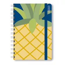  Container Bullet Journal 80 Folhas Microserrilhada 1 Assuntos Unidade X 1 24cm X 18cm Abacaxi