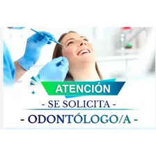 Odontologo/a