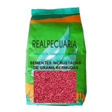 Sementes De Grama Bermudas (1 Kg)