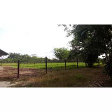 Vendo Finca De 330 Tareas En Luisa Blanca Monte Plata, República Dominicana