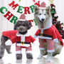Tercera imagen para búsqueda de disfraz perro navidad