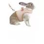 Tercera imagen para búsqueda de pechera para conejo