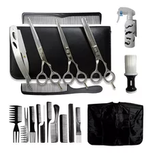 Kit Completo 3 Tesouras Cabelo Profissionais Pentes Capa Hd Cor Silver