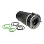 Bolsa Aire Suspension Delanter Mercedes Benz Gl450 2007-2012