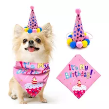 Fantasia Pet De Aniversário Happy Birthday Cachorro Cães Pet