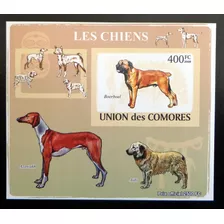 Comores Perros, Bloque 1 Sello Boerboel 400fc 09 Mint L18809