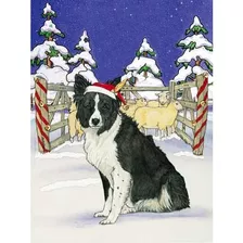 Border Collie Christmas Cards Santa's Cap