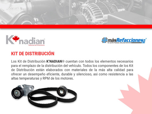 Banda De Distribucion K-nadian Fiat Stilo L5 2.4l 07 Foto 5