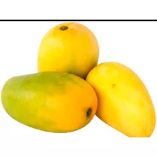 30 Mangos Medianos