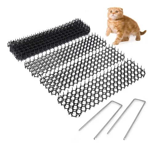 Segunda imagen para búsqueda de collar gato