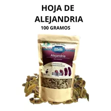 Hoja De Alejandria 100% Natural 100 Gramos