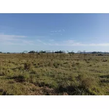 Venta Muy Buen Campo De 78 Hectáreas, Zona Muy Accesible Y De Hermosas Vistas.