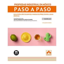 Propiedad Industrial En Mexico,la - Ortega Quintero, Dami...