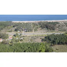 Venta Terreno En Punta Ballena Para Desarrollo