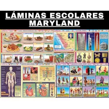 Laminas Escolares Maryland Pack De 100 Unidades