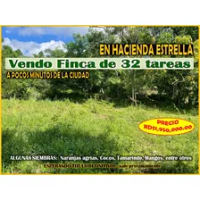 Vendo Finca De 32 Tareas En Hacienda Estrella, A 30 Minutos De La Ciudad, Rd$1,950,000.00