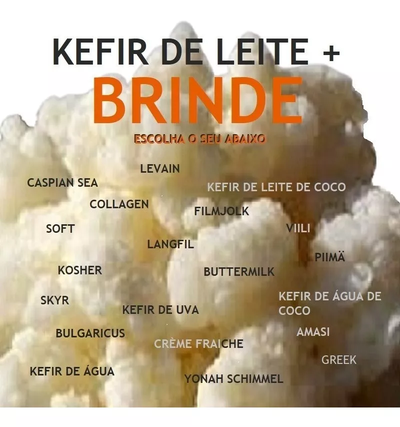 Kefir De Leite + Brinde Outra Cultura ( Tag Iogurte )