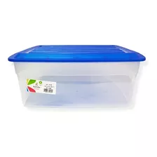 Caja Plástica Organizadora Con Tapa Turin Kendy10litros70430