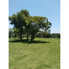 Jazigo Em Área Nobre Cemitério Parque Iguaçu Com 3 Gavetas Sobrepostas E Lápide De Bronze