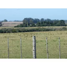 Venta Chacra De 5 Hectareas Cercania A Punta Del Este, Lapataia [código 387ac]