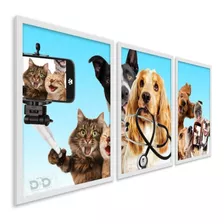 Quadro Decorativo 3 Peças Clínica Veterinária Petshop 3mm