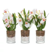 Plantas Decorativas Kit Com 3 Vasinhos Arranjo Artificial 