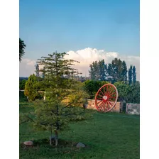 Cabaña En San Rafael, Mendoza (piscina, Aire Acond Y Wifi)